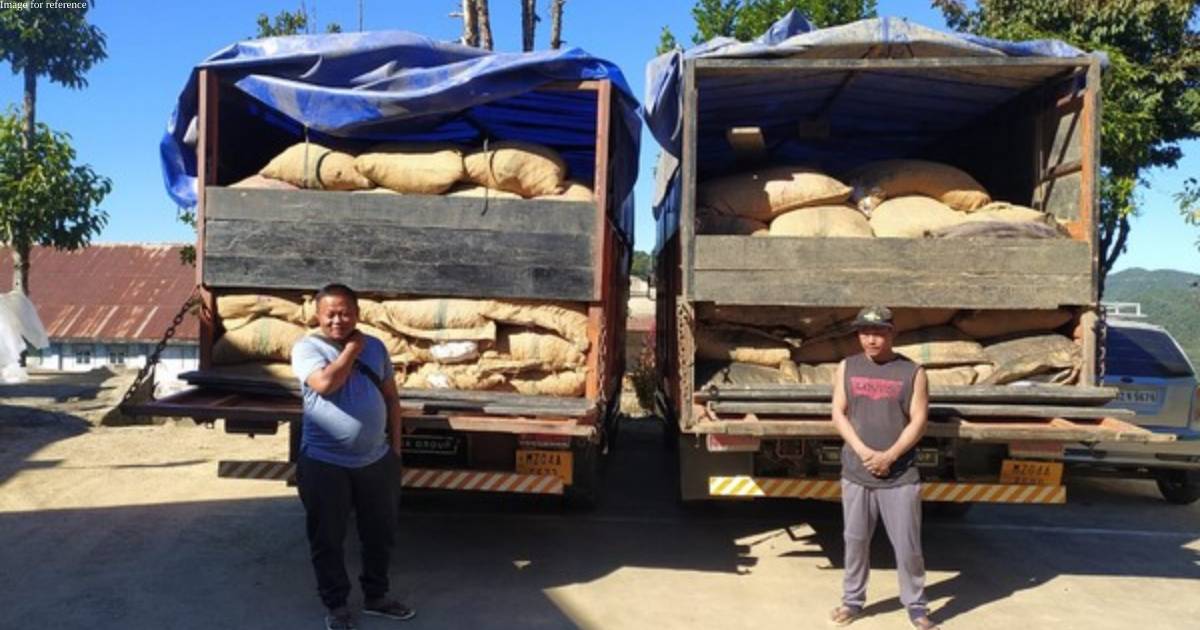 Smuggling of areca nuts from Myanmar to India continues, 12,800 kg more areca nuts seized in Mizoram